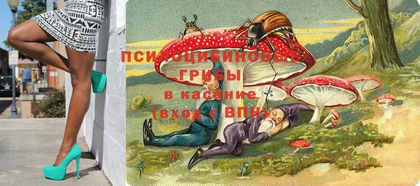 дурь Заволжск