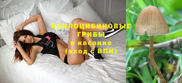 наркотики Заводоуковск