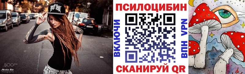 Купить  Кяхта  Псилоцибиновые грибы Magic Shrooms 