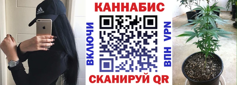 Купить  Кяхта  Канабис MAZAR 